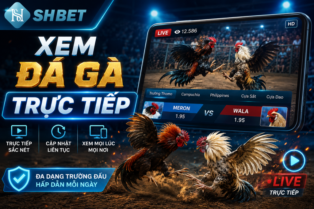 Cách xem đá gà trực tiếp tại nhà cái SHBET